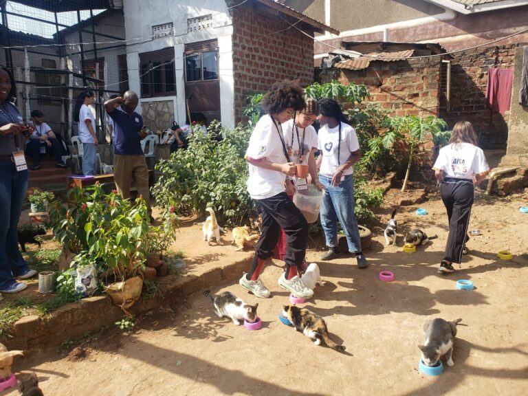Edu Feeding at Cat Cradle Rescue Uganda