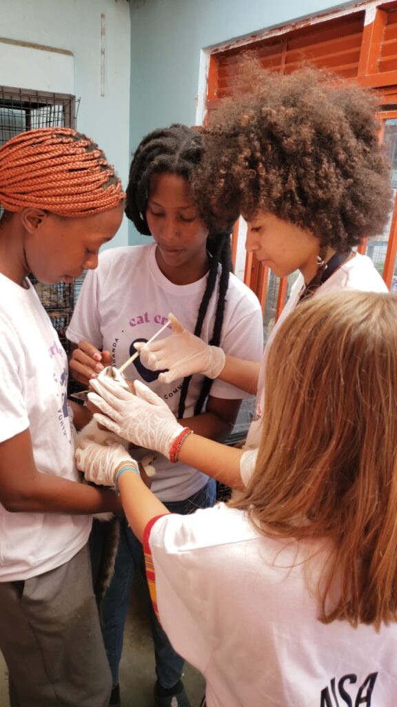Edu Students at Cat Cradle Rescue Uganda