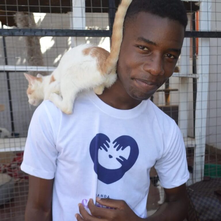 Edu Volunteer at Cat Cradle Rescue Uganda