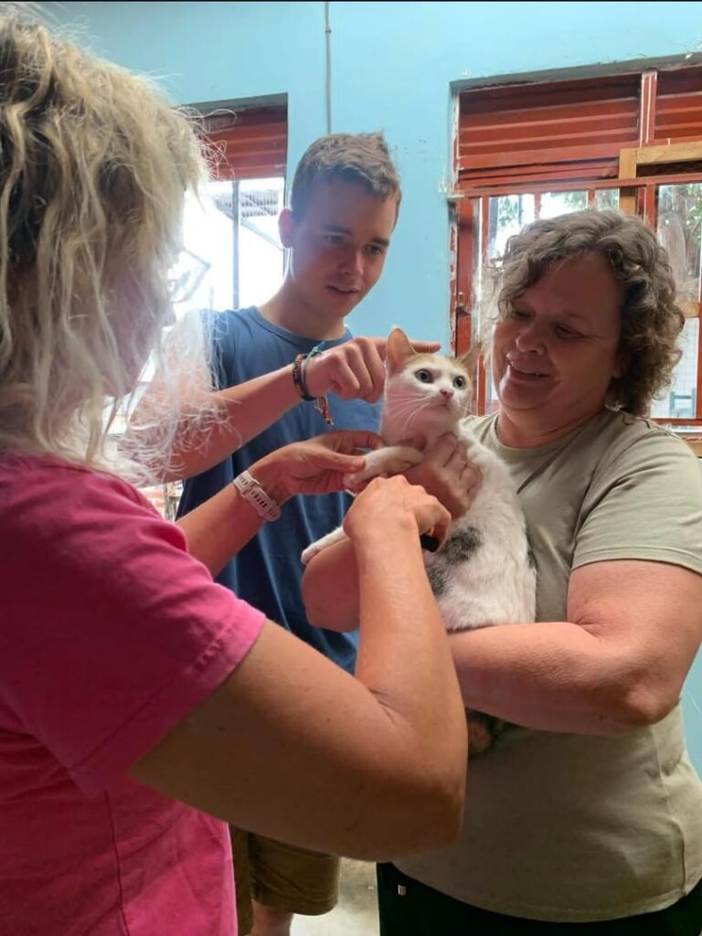Help Volunteer at Cat Cradle Rescue Uganda
