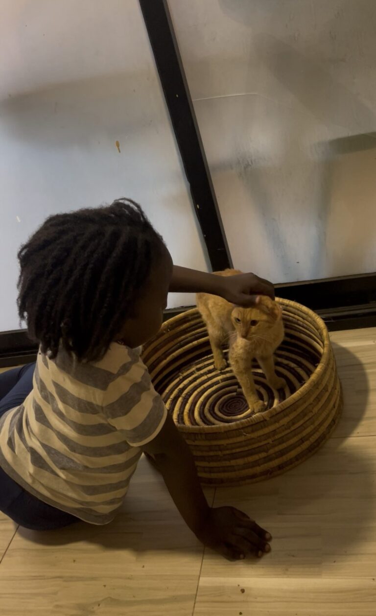 Paw Patrol 2 at Cat Cradle Rescue Uganda