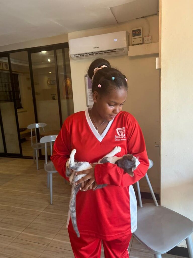 Step Adoption 3 at Cat Cradle Rescue Uganda